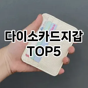 다이소카드지갑의 매력을 느낄 수 있는 Top 5 추천!