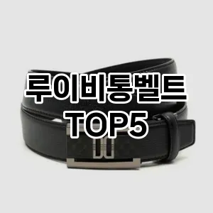 루이비통벨트의 매력을 느낄 수 있는 Top 5 추천!