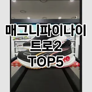 매그니파이나이트로2의 매력을 느낄 수 있는 Top 5 추천!