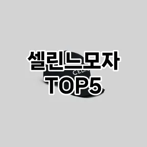 셀린느모자의 매력을 느낄 수 있는 Top 5 추천!