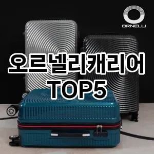 오르넬리캐리어의 매력을 느낄 수 있는 Top 5 추천!