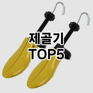 제골기의 매력을 느낄 수 있는 Top 5 추천!