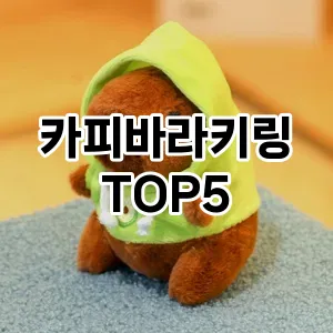 카피바라키링의 매력을 느낄 수 있는 Top 5 추천!
