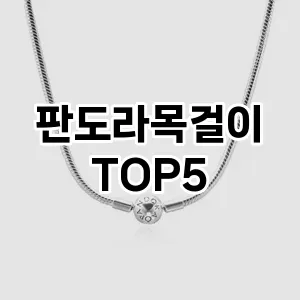 판도라목걸이의 매력을 느낄 수 있는 Top 5 추천!
