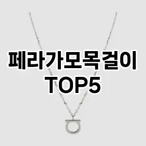 페라가모목걸이의 매력을 느낄 수 있는 Top 5 추천!