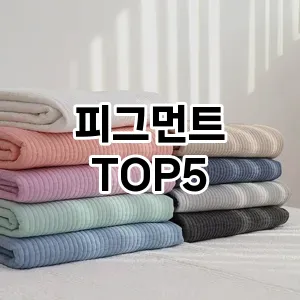 피그먼트의 매력을 느낄 수 있는 Top 5 추천!