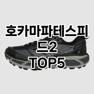 호카마파테스피드2의 매력을 느낄 수 있는 Top 5 추천!
