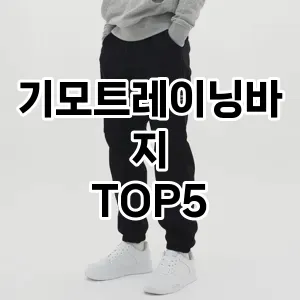 트렌드 선도 기모트레이닝바지 추천 Top 5! 스타일과 가치를 더하다!