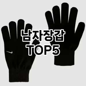 스타일을 업그레이드하세요! 트렌드 남자장갑 추천 Top 5!