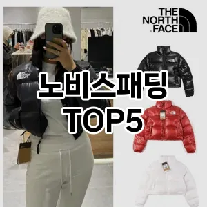 완벽한 선택! 지금 노비스패딩 추천 Top 5로 만나보세요!