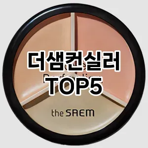 스타일을 업그레이드하세요! 트렌드 더샘컨실러 추천 Top 5!
