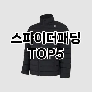 스타일을 업그레이드하세요! 트렌드 스파이더패딩 추천 Top 5!