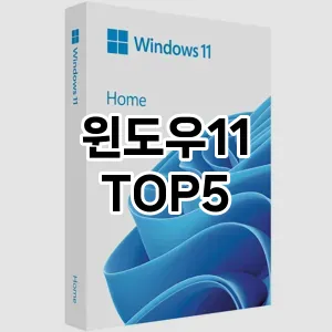 핫한 인기템 윈도우11 추천 Top 5! 구매 전 꼭 확인하세요!