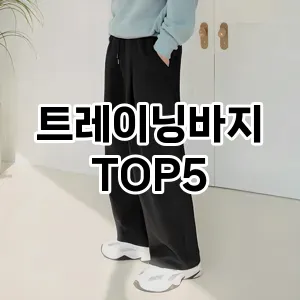 스타일을 업그레이드하세요! 트렌드 트레이닝바지 추천 Top 5!