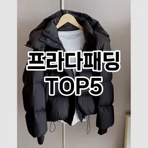 스타일을 업그레이드하세요! 트렌드 프라다패딩 추천 Top 5!