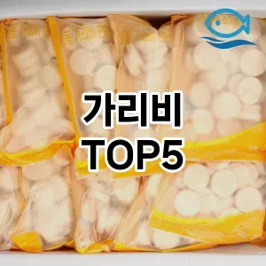 올해의 히트템 가리비 추천 Top 5! 놓치면 후회할 선택!