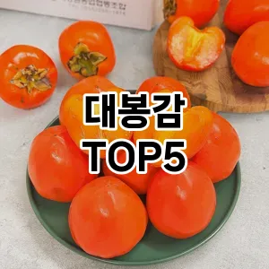 핫한 인기템 대봉감 추천 Top 5! 구매 전 꼭 확인하세요!