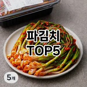 올해의 히트템 파김치 추천 Top 5! 놓치면 후회할 선택!