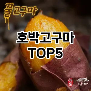 스타일을 업그레이드하세요! 트렌드 호박고구마 추천 Top 5!