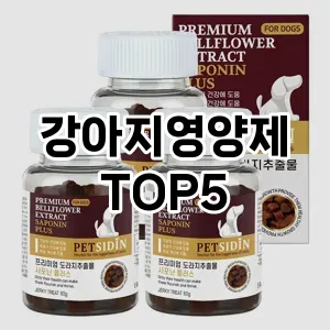 완벽한 선택! 지금 강아지영양제 추천 Top 5로 만나보세요!