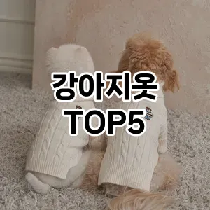 트렌드 선도 강아지옷 추천 Top 5! 스타일과 가치를 더하다!