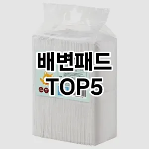 올해의 히트템 배변패드 추천 Top 5! 놓치면 후회할 선택!