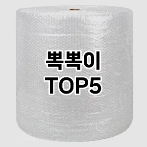 스타일을 업그레이드하세요! 트렌드 뽁뽁이 추천 Top 5!