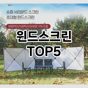 트렌드 선도 윈드스크린 추천 Top 5! 스타일과 가치를 더하다!