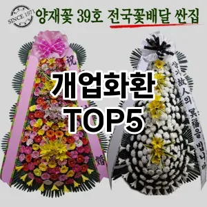올해의 히트템 개업화환 추천 Top 5! 놓치면 후회할 선택!