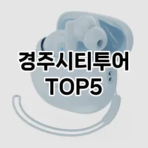 올해의 히트템 경주시티투어 추천 Top 5! 놓치면 후회할 선택!