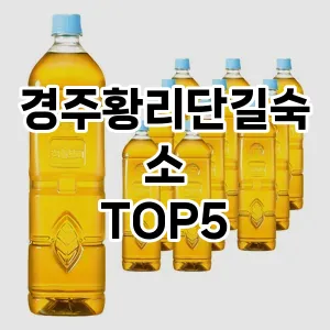 트렌드 선도 경주황리단길숙소 추천 Top 5! 스타일과 가치를 더하다!