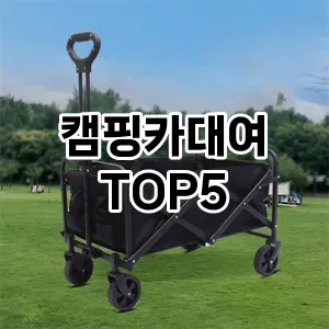 올해의 히트템 캠핑카대여 추천 Top 5! 놓치면 후회할 선택!