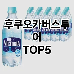 트렌드 선도 후쿠오카버스투어 추천 Top 5! 스타일과 가치를 더하다!