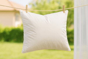 폭신함 그대로! 구스다운 베개 오래 쓰는 관리법 Top 6 2 2a2a97ed df2a 4a5e a33e d3036a318953