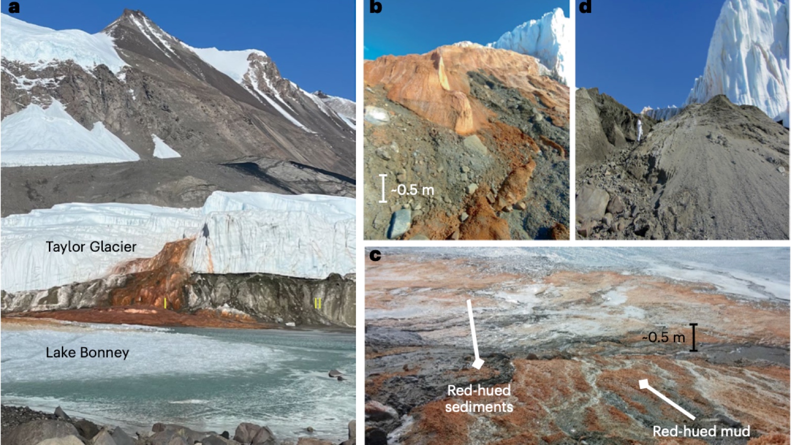 Red discharge at the end of Taylor Glacier and the red ice, mud and sediment sampled by the research team
